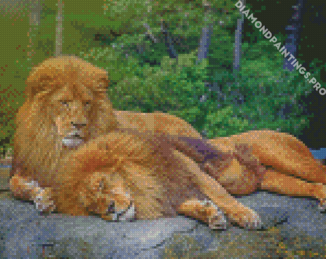 Two Lions Diamond Painting