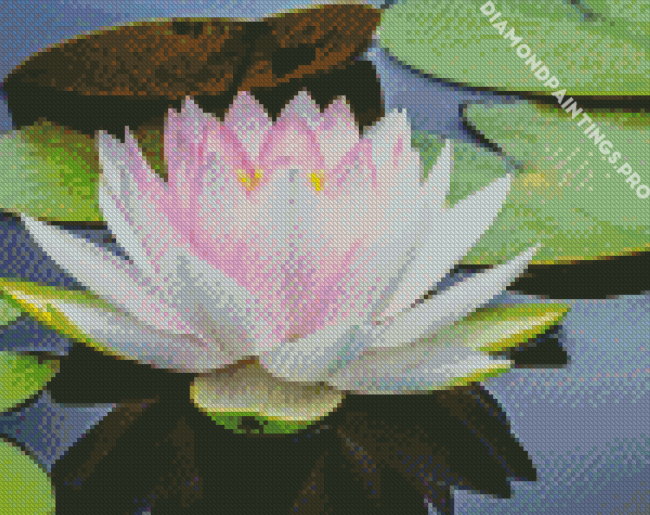 White Lotus Blossom Diamond Painting