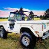 White Old Ford Bronco Car Diamond Painting