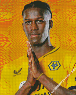 Willy Boly Wolves Player Diamond Painting