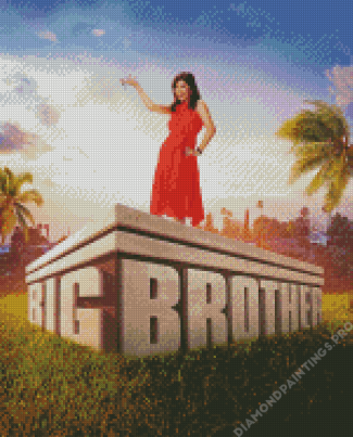 Big Brother Tv Show Poster Diamond Painting