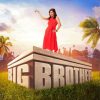 Big Brother Tv Show Poster Diamond Painting