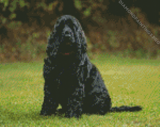 Black Cocker Spaniel Dog Diamond Painting