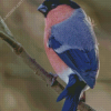 Blue And Pink Swallow Diamond Painting