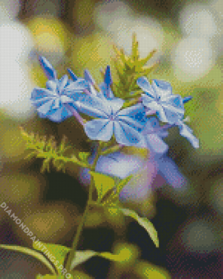 Blue Plumbago Flowers Diamond Painting