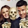 Booth And Brennan Bones Drama Serie Diamond Painting