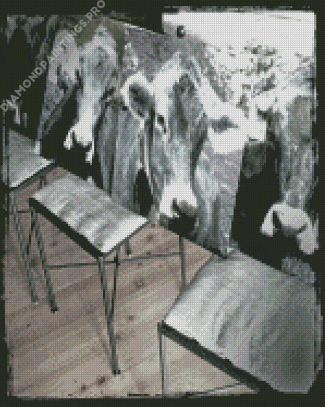 Cow On Chair Diamond Painting