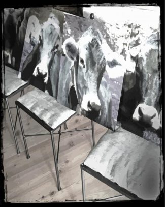 Cow On Chair Diamond Painting