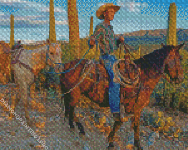 Cowboy In Arizona Diamond Painting