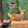 Deer And Turkey In Forest Diamond Painting