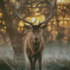 Deer Animal Heart Diamond Painting