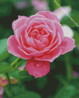 Flower Pink Diamond Painting