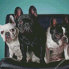 French Terriers Diamond Painting