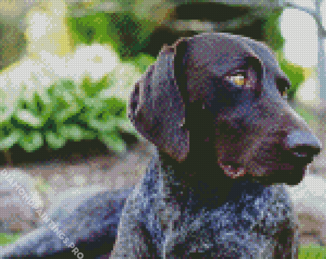 Aesthetic German Shorthaired Pointer Dog Diamond Painting