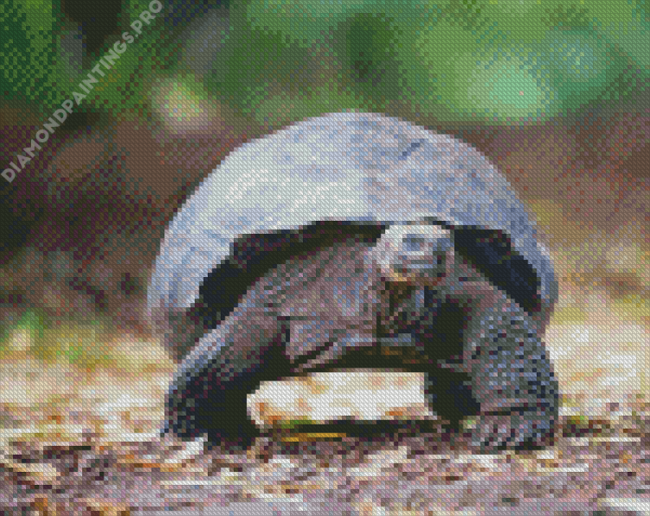 Giant Tortoise Diamond Painting