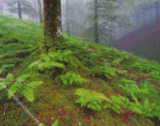 Green Ferns In Forest Diamond Painting