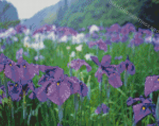 Iris Flower Field Diamond Painting