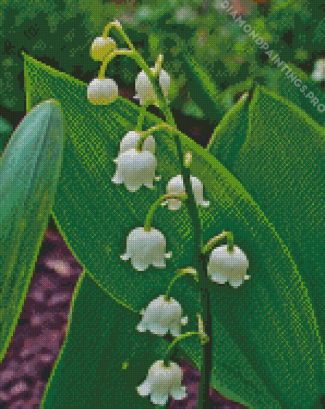 Lily Of The Valley Diamond Painting