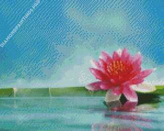 Lotus Flower In Water Diamond Painting