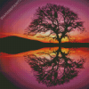 Reflection Tree By Water At Sunset Diamond Painting