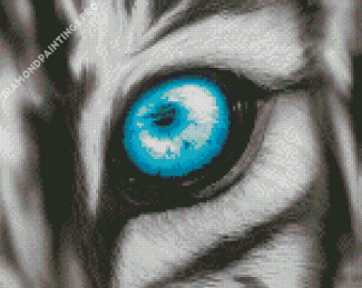 Tiger Blue Eyes Diamond Painting