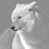 White Wolf With Blue Eyes Art Diamond Painting
