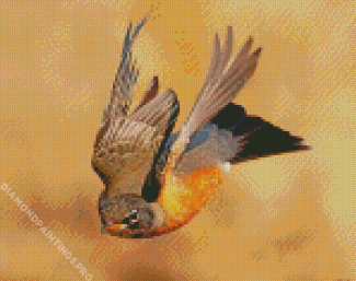 American Robin Flying Diamond Painting