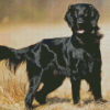 Black Flat Coated Retriever Diamond Painting