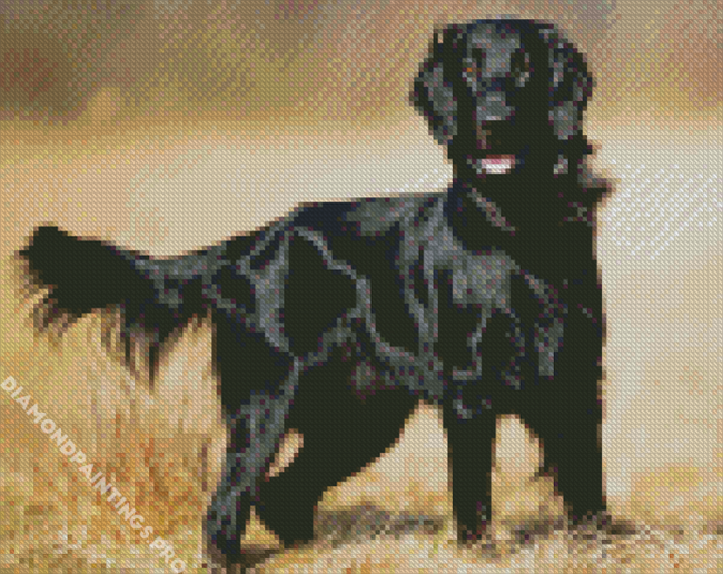 Black Flat Coated Retriever Diamond Painting