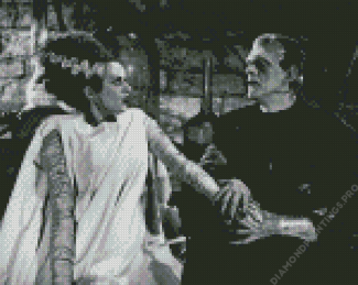 Black And White Frankenstein And The Bride Diamond Painting