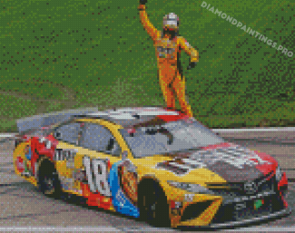 Car Racer Kyle Busch Diamond Painting