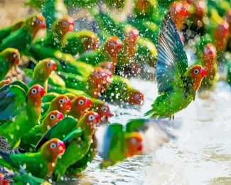 Parrots Birds In Water Diamond Painting