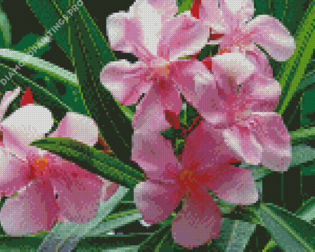 Pink Oleanders Diamond Painting