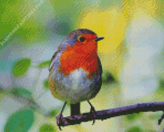 Red Robin Diamond Painting