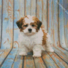 Shihpoo Dog Animal Diamond Painting