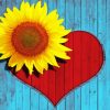 Sunflower And Red Heart Diamond Painting