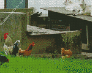 White Goats And Chickens Diamond Painting