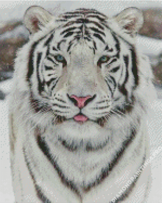 White Siberian Tiger In Snow Diamond Painting