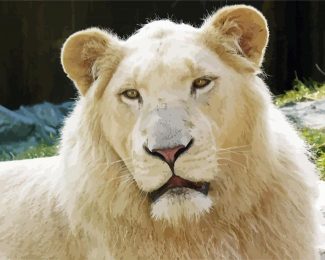 Aesthetic White Lion Diamond Painting