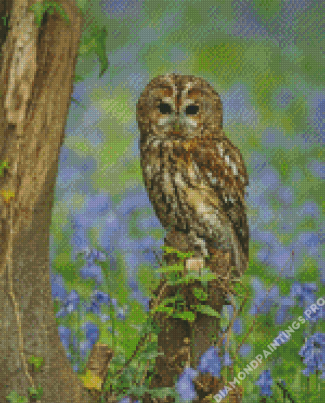 Bluebell Wood Owl Diamond Painting