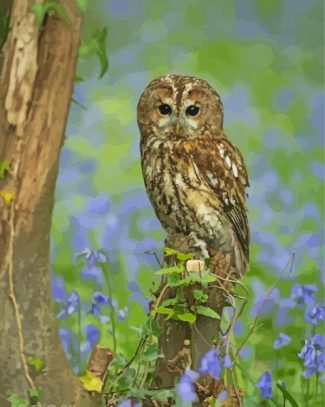 Bluebell Wood Owl Diamond Painting