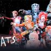 Cats The Musical Characters Diamond Painting