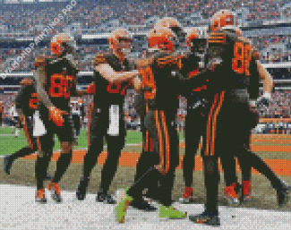 Cleveland Browns Team Diamond Painting