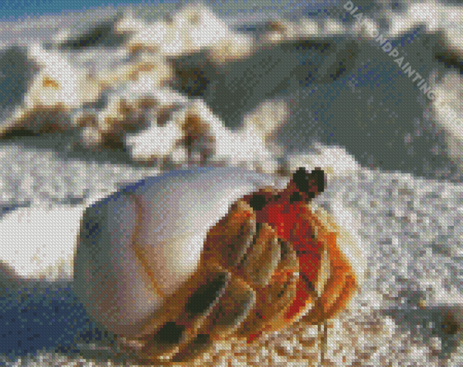 Hermit Crab Diamond Painting