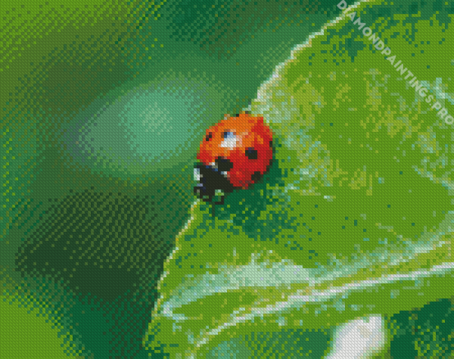Ladybird Insect Diamond Painting