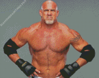 Professional Wrestler Bill Goldberg Diamond Painting