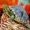 Red Eared Slider Turtle Art Diamond Painting
