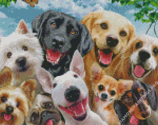 The Funny Dogs Diamond Painting
