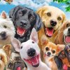 The Funny Dogs Diamond Painting