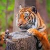 Tiger On Tree Stumps Diamond Painting